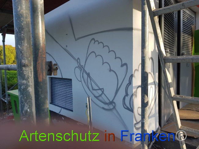 © Artenschutz in Franken® / M.Sonfeld Bild zum Eintrag (1013712-160)