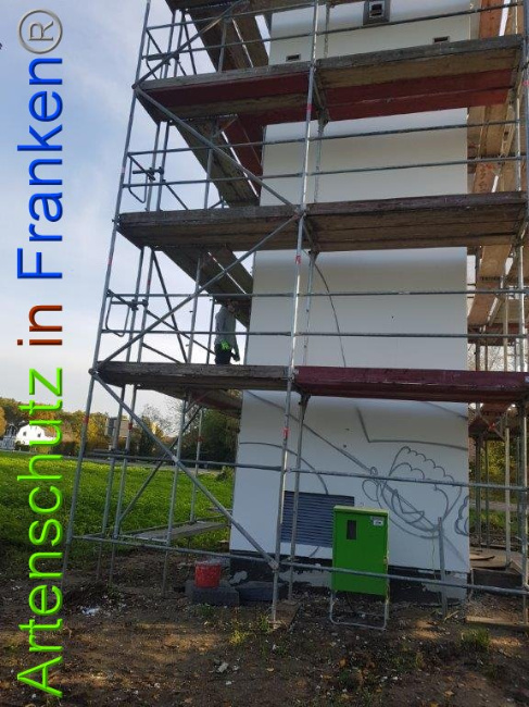 © Artenschutz in Franken® / M.Sonfeld Bild zum Eintrag (1013713-160)