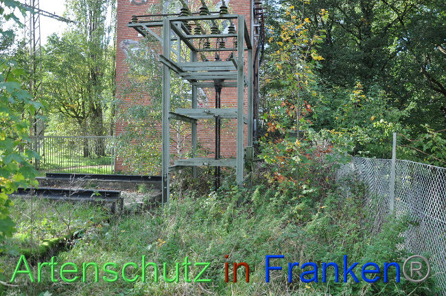 © Artenschutz in Franken® Bild zum Eintrag (1013738-160)