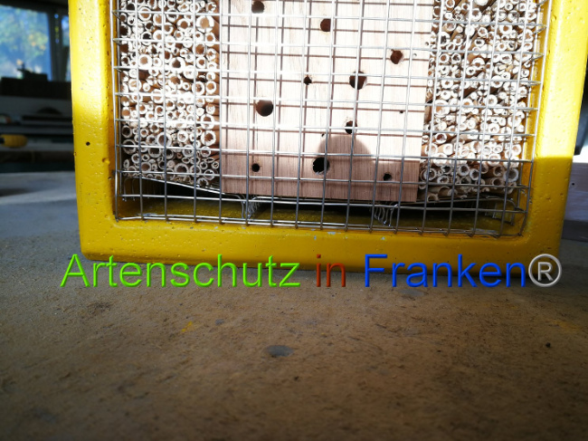 © Artenschutz in Franken® Bild zum Eintrag (1013753-160)