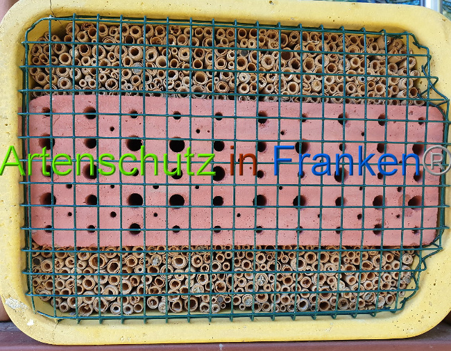 © Artenschutz in Franken® Bild zum Eintrag (1013756-160)