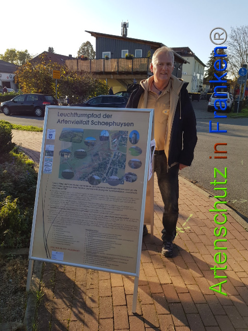 © Artenschutz in Franken® / M.Sonfeld Bild zum Eintrag (1013782-160)