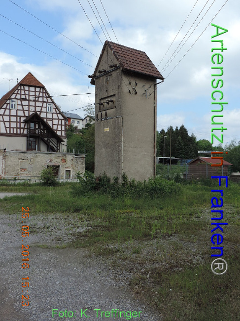 Bild zum Eintrag (1014094-160)