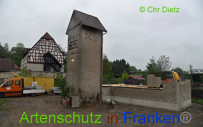 Bild zum Eintrag (1014110-160)