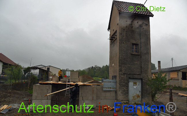 Bild zum Eintrag (1014111-160)