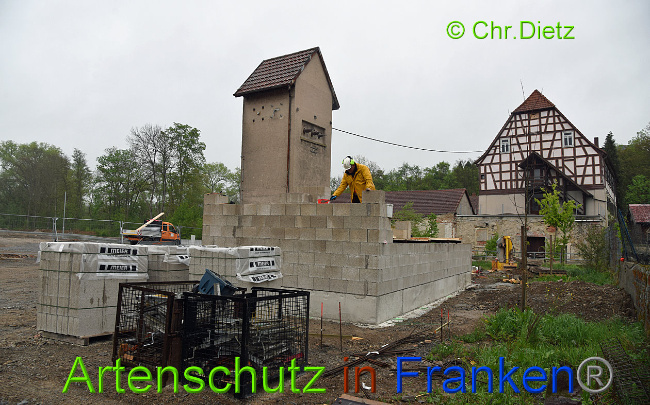 Bild zum Eintrag (1014112-160)