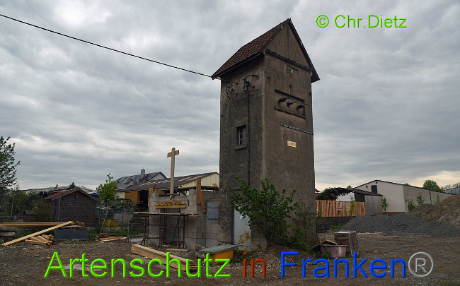 Bild zum Eintrag (1014113-160)