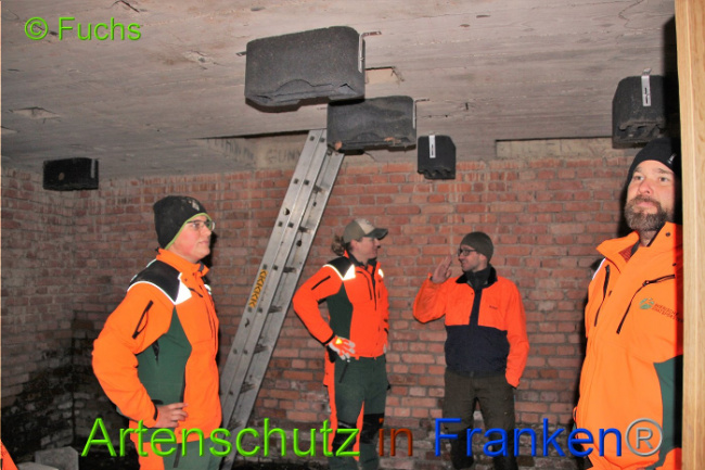© Artenschutz in Franken® Bild zum Eintrag (1014227-160)
