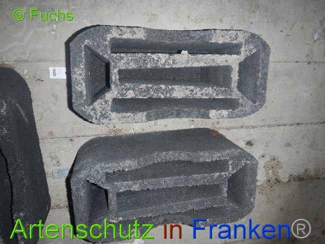© Artenschutz in Franken® Bild zum Eintrag (1014228-160)