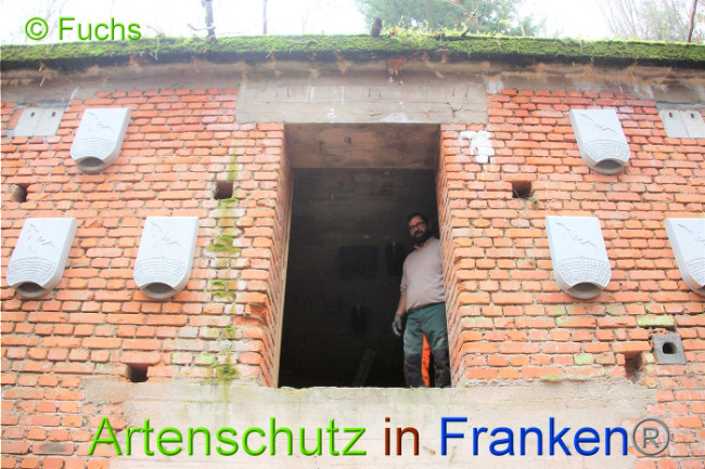 © Artenschutz in Franken® Bild zum Eintrag (1014230-160)