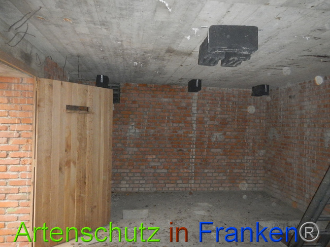 © Artenschutz in Franken® Bild zum Eintrag (1014234-160)