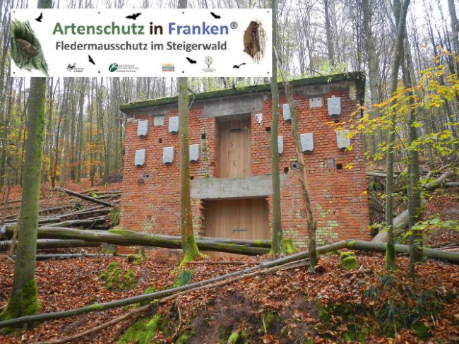 © Artenschutz in Franken® Bild zum Eintrag (1014255-160)