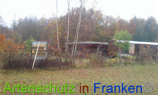 © Artenschutz in Franken® Bild zum Eintrag (1014261-160)