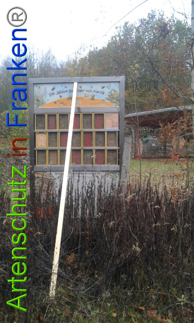 © Artenschutz in Franken® Bild zum Eintrag (1014275-160)