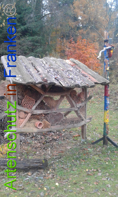 © Artenschutz in Franken® Bild zum Eintrag (1014276-160)