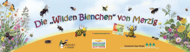 © Artenschutz in Franken® Bild zum Eintrag (1014277-160)