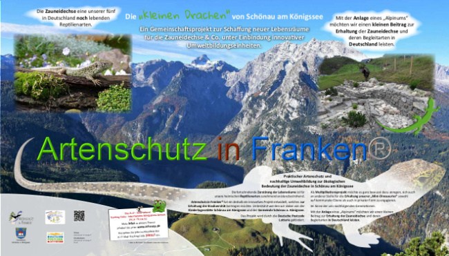 © Artenschutz in Franken® Bild zum Eintrag (1014374-160)