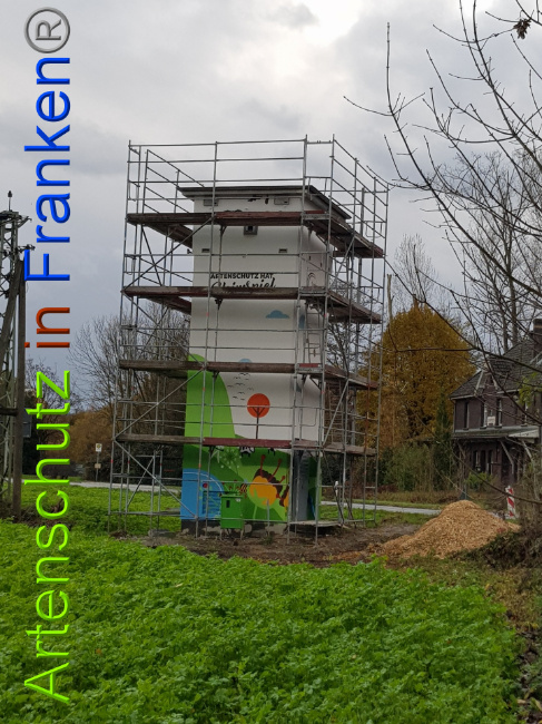 © Artenschutz in Franken® / Sonfeld Bild zum Eintrag (1014577-160)