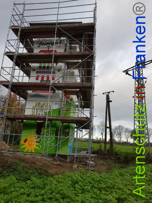 © Artenschutz in Franken® / Sonfeld Bild zum Eintrag (1014581-160)
