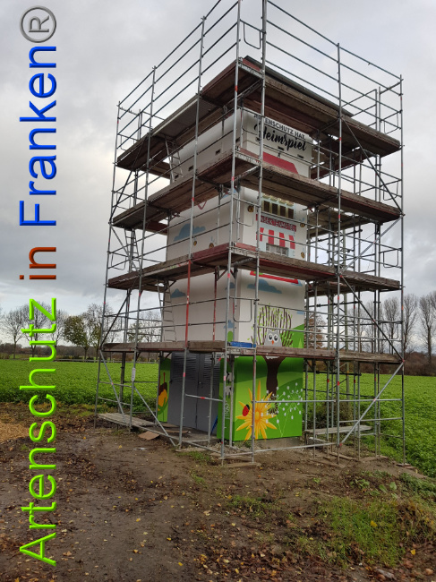 © Artenschutz in Franken® / Sonfeld Bild zum Eintrag (1014582-160)