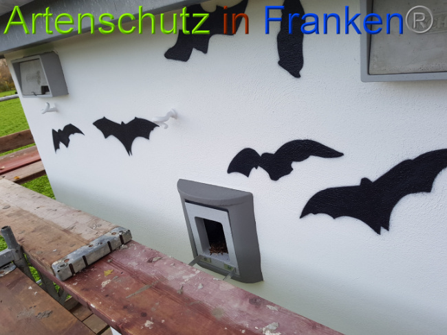 © Artenschutz in Franken® / Sonfeld Bild zum Eintrag (1014584-160)