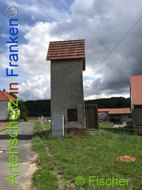 Bild zum Eintrag (1014665-160)