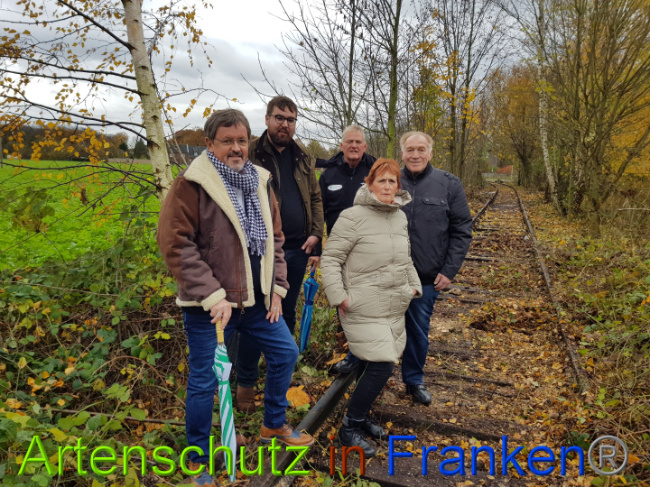 © Artenschutz in Franken® / Sonfeld Bild zum Eintrag (1014693-160)
