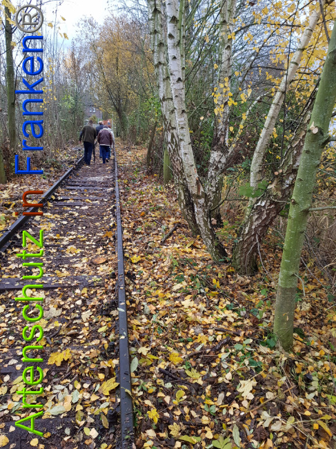 © Artenschutz in Franken® / Sonfeld Bild zum Eintrag (1014696-160)