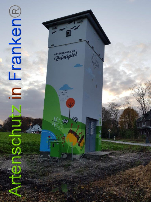 © Artenschutz in Franken® / Sonfeld Bild zum Eintrag (1014711-160)