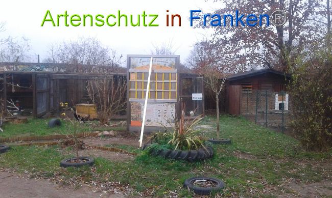 © Artenschutz in Franken® Bild zum Eintrag (1014933-160)