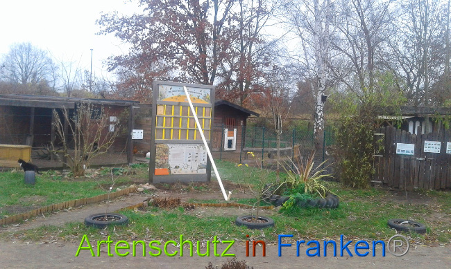 © Artenschutz in Franken® Bild zum Eintrag (1014938-160)