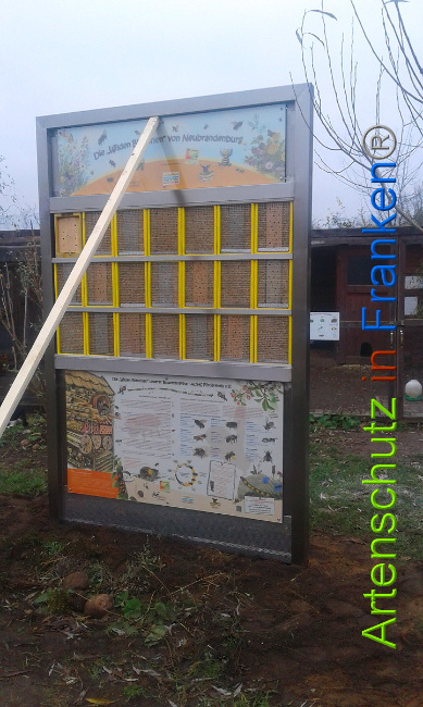 © Artenschutz in Franken® Bild zum Eintrag (1014942-160)