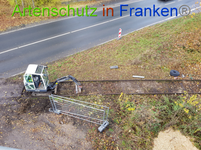 © Artenschutz in Franken® / Sonfeld Bild zum Eintrag (1015008-160)