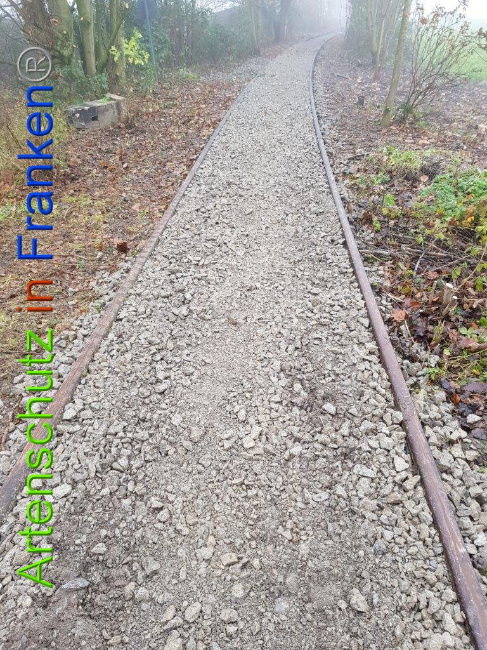 © Artenschutz in Franken® / Sonfeld Bild zum Eintrag (1015014-160)