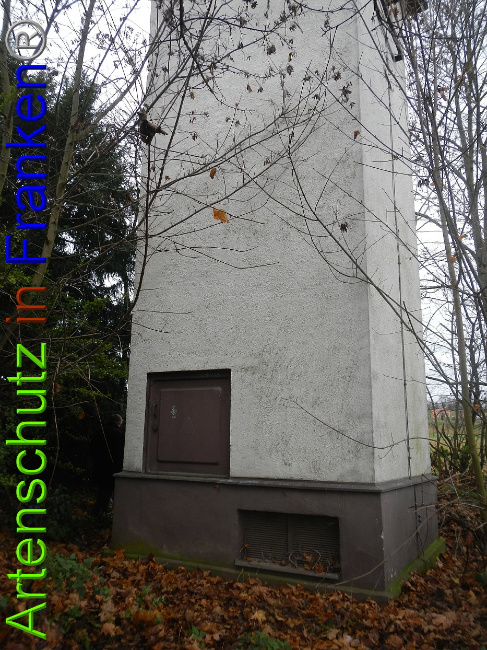 © Artenschutz in Franken® Bild zum Eintrag (1015181-160)