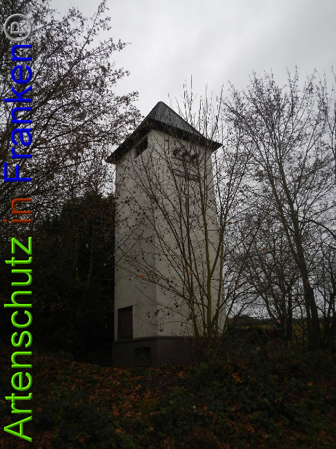© Artenschutz in Franken® Bild zum Eintrag (1015183-160)