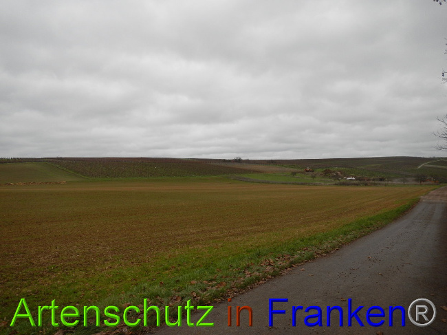 Bild zum Eintrag (1015191-160)