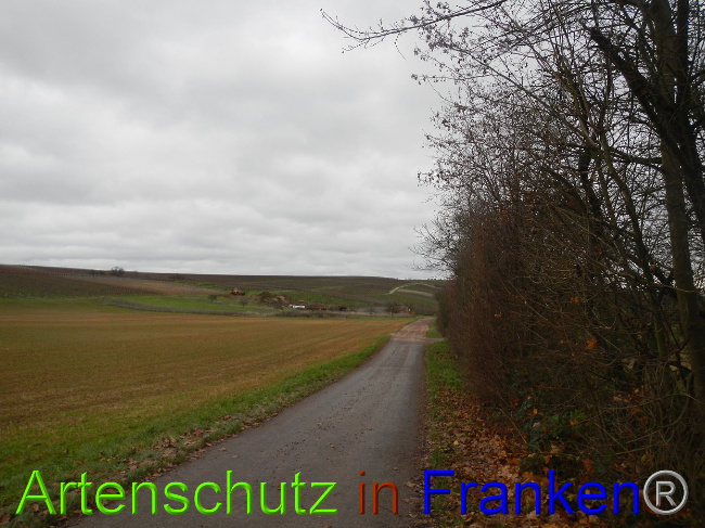 Bild zum Eintrag (1015192-160)