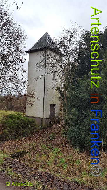 © Artenschutz in Franken® Allekotte Bild zum Eintrag (1015203-160)