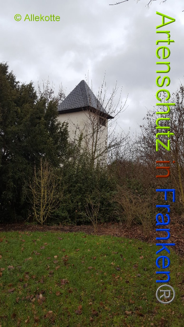 © Artenschutz in Franken® Allekotte Bild zum Eintrag (1015204-160)
