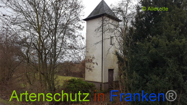 © Artenschutz in Franken® Allekotte Bild zum Eintrag (1015205-160)