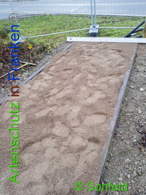 © Artenschutz in Franken® / Sonfeld Bild zum Eintrag (1015599-160)