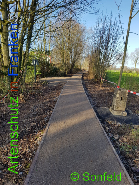 © Artenschutz in Franken® / Sonfeld Bild zum Eintrag (1015630-160)