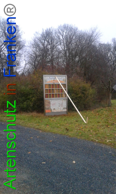 © Artenschutz in Franken® Bild zum Eintrag (1015825-160)