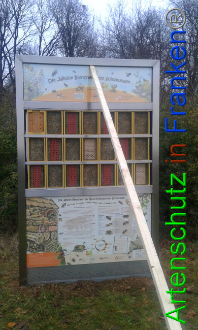 © Artenschutz in Franken® Bild zum Eintrag (1015826-160)
