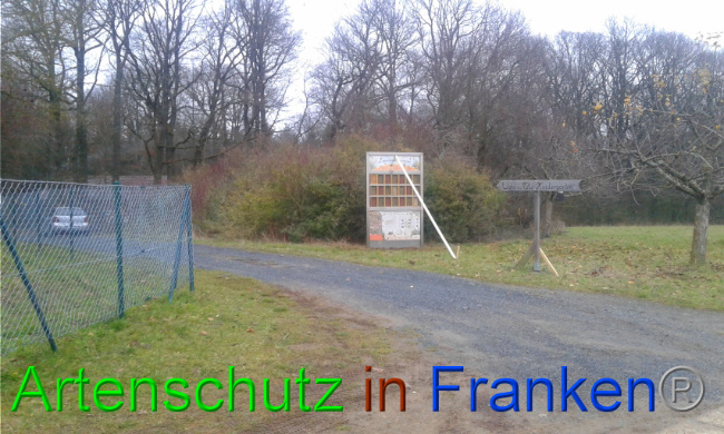 © Artenschutz in Franken® Bild zum Eintrag (1015827-160)