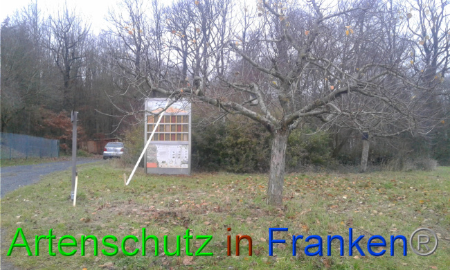 © Artenschutz in Franken® Bild zum Eintrag (1015828-160)