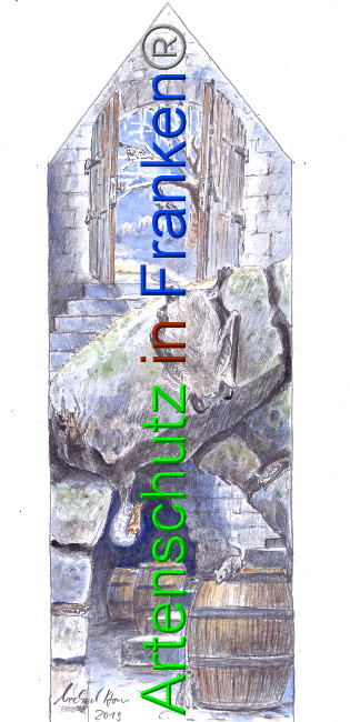 © Artenschutz in Franken® Bild zum Eintrag (1016104-160)