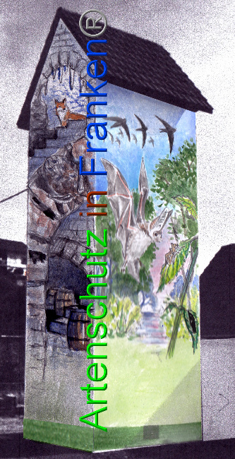 © Artenschutz in Franken® Bild zum Eintrag (1016105-160)
