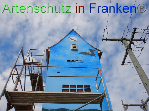 Bild zum Eintrag (101693-160)